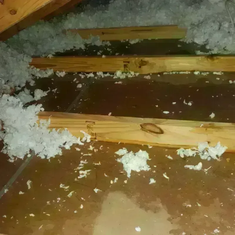 Attic Water Damage in Mitchell, SD