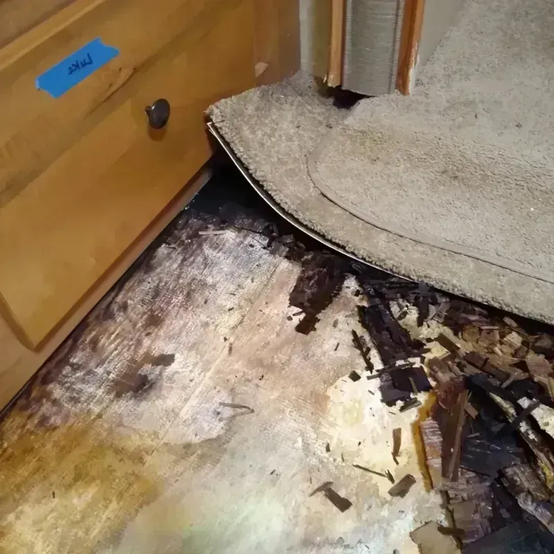 Wood Floor Water Damage in Mitchell, SD